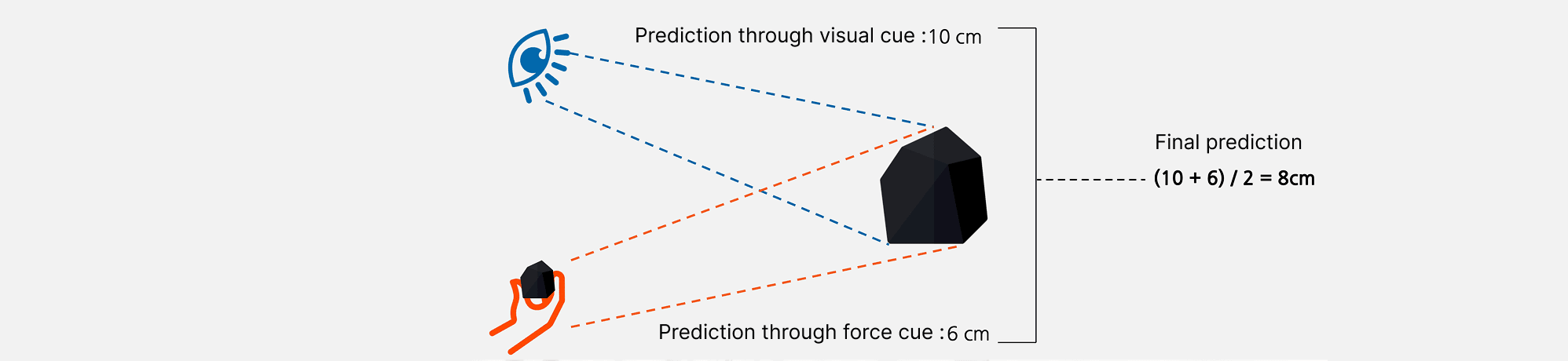 Example of combined estimation using visual and force cues